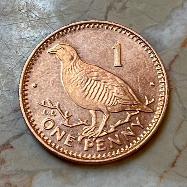 Barbary Partridge Gibraltar 1 Penny Authentic Coin Money for Jewelry and Craft Making