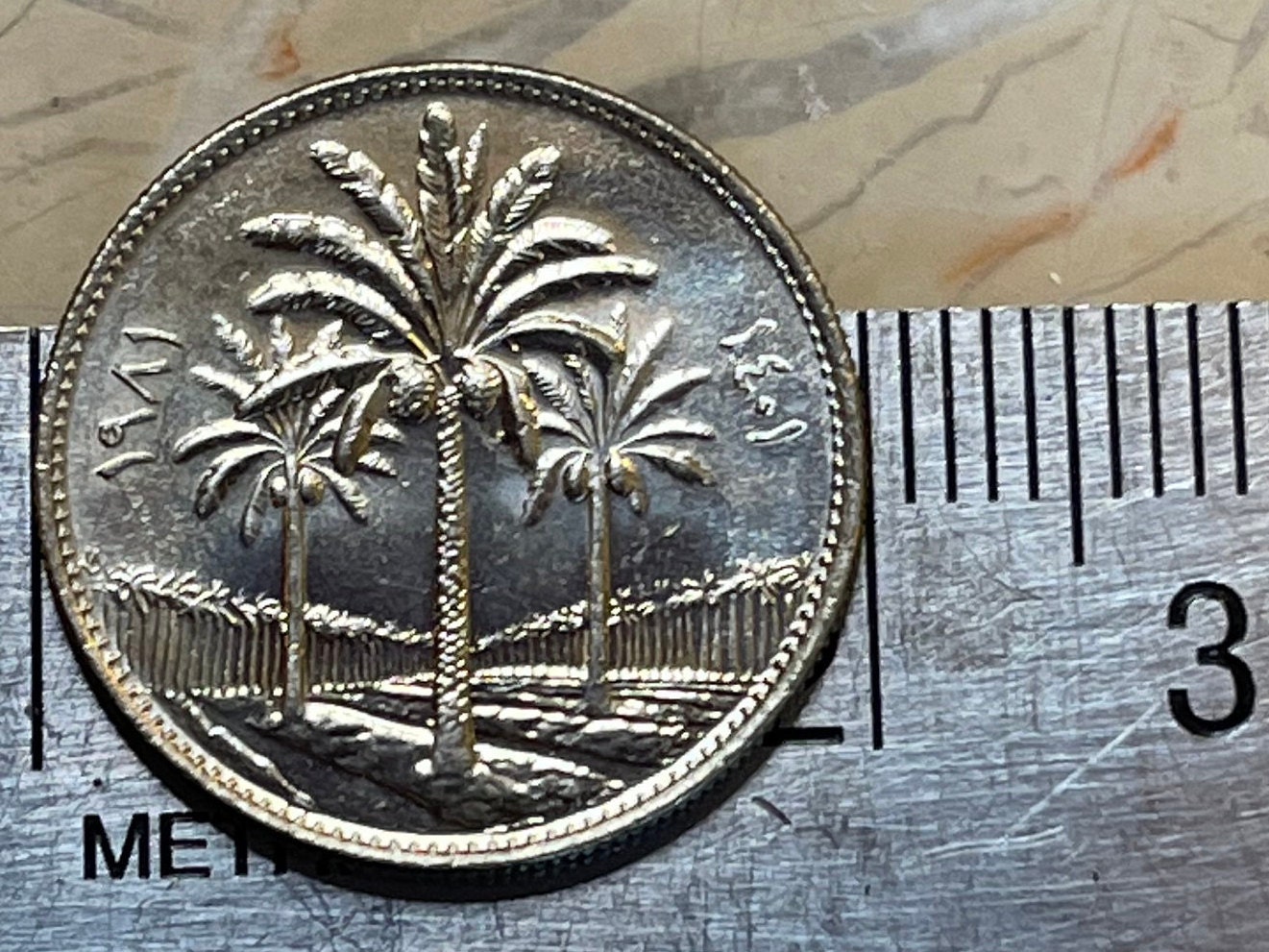 Date Palm Trees 25 Fils Iraq Authentic Coin Money for Jewelry and Craft