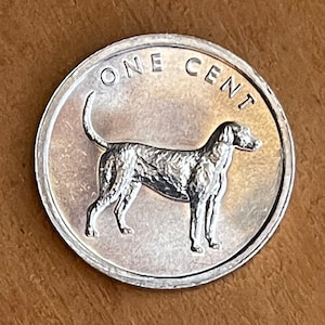 Moneta Pointer inglese: 1 centesimo delle Isole Cook, gioielli artigianali raffiguranti cani da caccia (2003)