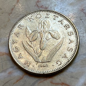 May include: A silver Hungarian 1 Forint coin with the year 1993 and the text "MAGYAR KÖZTÁRSASÁG" around the edge. The coin features a stylized iris flower in the center.