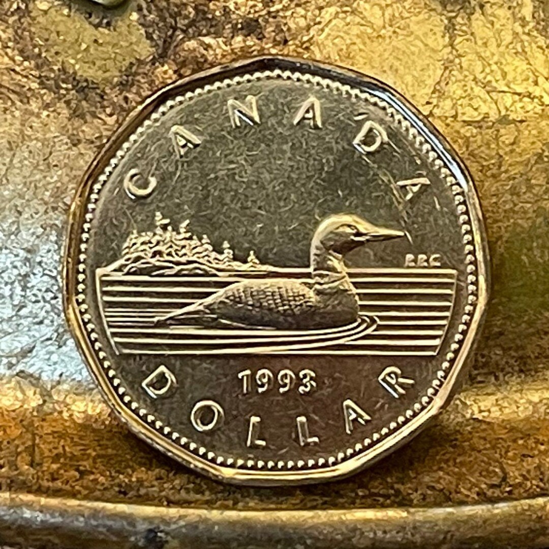 Canadian Loonie Coin: Authentic One Dollar (11-sided) - Etsy