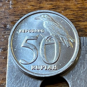 Black-naped Oriole & Garuda Indonesia 50 Rupiah Authentic Coin Money for Jewelry and Craft Making