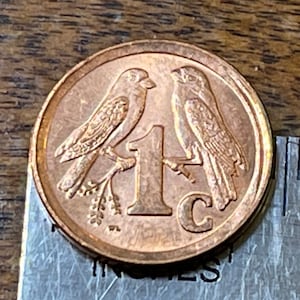 Sparrows 1 Cent South Africa Authentic Coin Money for Jewelry and Craft Making (Cape Sparrow)