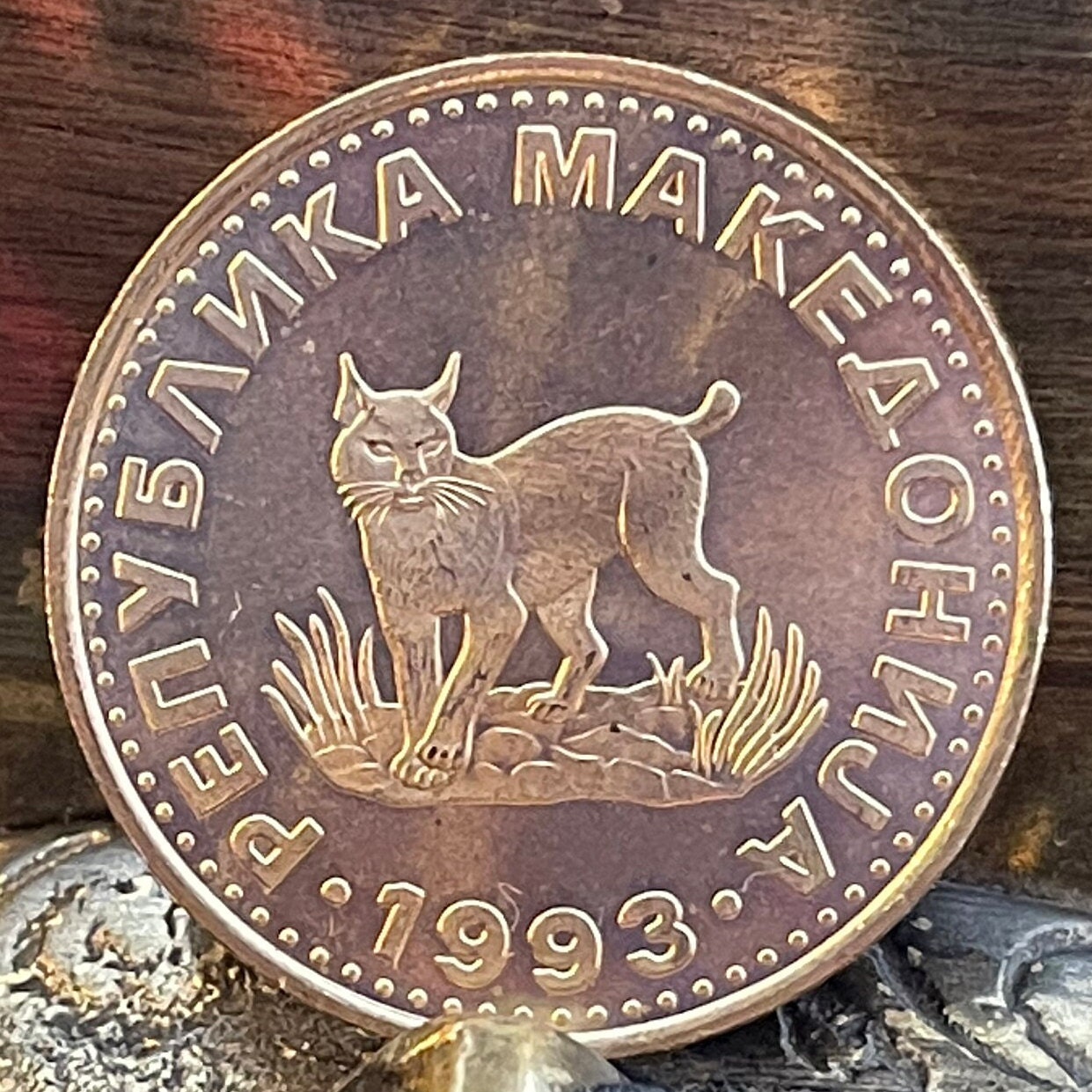 Balkan Lynx Coin: 5 Denari Macedonia Money, Jewelry Crafting - Etsy