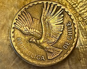 1828年 チリ共和国 コキンボ ペソ - コインのコピー - Etsy 日本