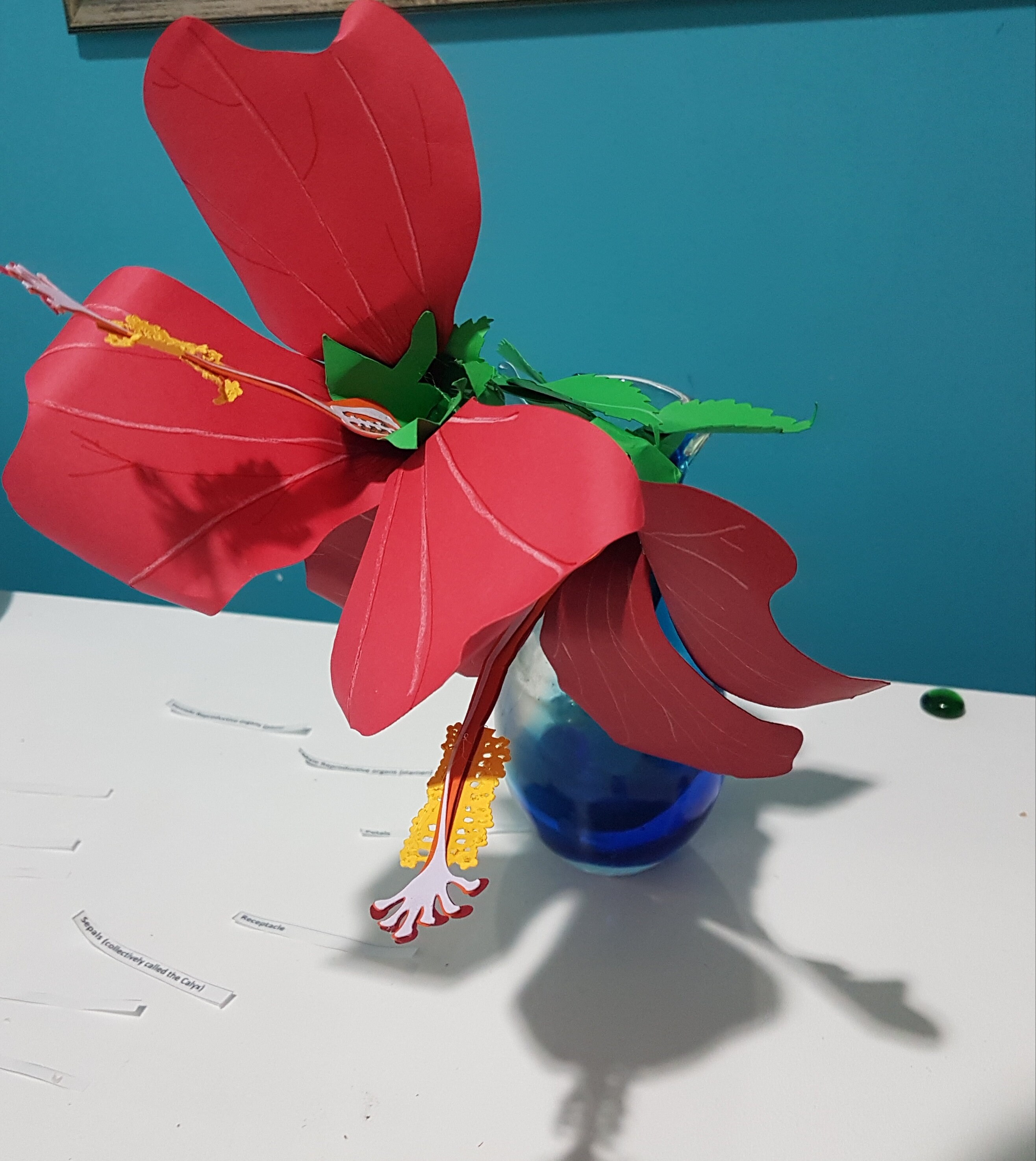 Maniacs- Learn Through Play 3D Hibiscus Flower SVG Files - Etsy