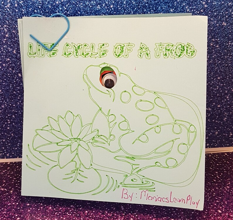 Pode incluir: Uma ilustra&ccedil;&atilde;o verde e branca do ciclo de vida de um sapo, com o texto "Life Cycle of a Frog" no topo e "By: ManiacsLearnPlay" na parte inferior.