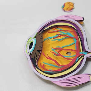 May include: A layered paper model of a human eye, showing the different parts of the eye, including the iris, pupil, lens, and retina. The model is made of colorful paper and is a great educational tool for learning about the human eye.