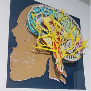 Maniacs- Learn through Play Human Anatomy brain svg files