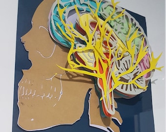 May include: A paper cut-out of a human skull with a colorful, layered paper brain inside. The brain is yellow, orange, red, pink, green, and blue.