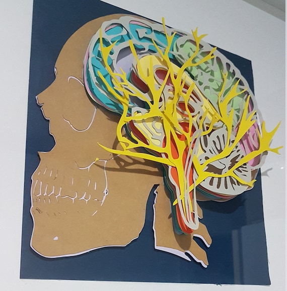 Download Maniacs Learn Through Play Human Anatomy Brain Svg Files Etsy