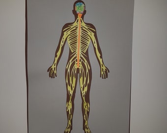 Maniacs- Lernen durch Spielen Menschlicher Körper 3D Buch-1 Nevous System svg Dateien