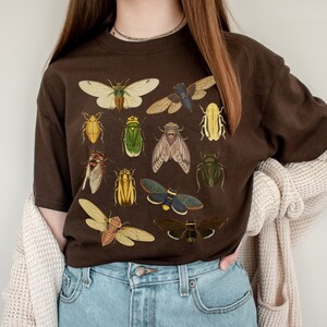 May include: A brown t-shirt featuring a vintage insect illustration print. The print depicts a variety of insects, including beetles, butterflies, and moths, in shades of green, brown, yellow, and black.