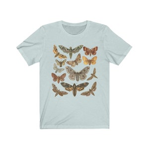 May include: A light blue t-shirt with a vintage illustration of various moths and butterflies in shades of brown, orange, and yellow.