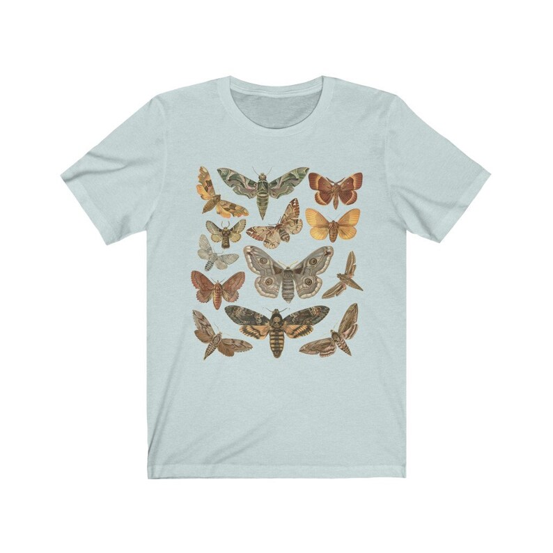 May include: A light blue t-shirt with a vintage illustration of various moths and butterflies in shades of brown, orange, and yellow.