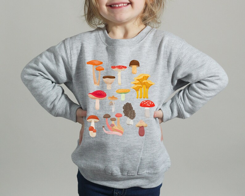 May include: A gray sweatshirt with a colorful mushroom print. The mushrooms are of various shapes and sizes, with red, orange, yellow, and brown caps.