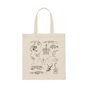 Peut inclure: Un sac fourre-tout beige avec un imprim&eacute; noir et blanc de divers squelettes d'animaux. Les squelettes comprennent un poisson, une tortue, un oiseau, une chauve-souris, un serpent, un crocodile, un dinosaure et un cr&acirc;ne.