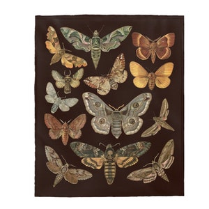 May include: A dark brown background with a collection of 13 different moths and butterflies. The moths and butterflies are in various shades of brown, green, yellow, and orange. Some of the moths have a skull and crossbones design on their wings.