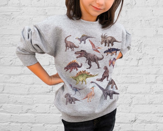  Funny Dinosaur Baseball Gift  Cute T-Rex Sports Boys Girls  Pullover Hoodie : Clothing, Shoes & Jewelry