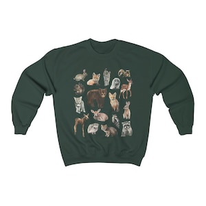 May include: A dark green sweatshirt featuring a pattern of various woodland animals, including a fox, bear, deer, raccoon, and owl. The animals are illustrated in a watercolour style.