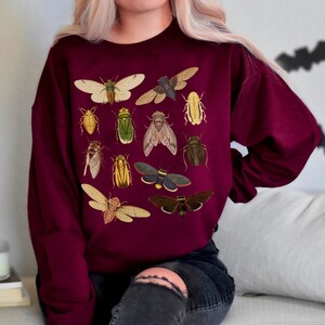 May include: Burgundy sweatshirt with a pattern of various insects, including beetles, moths, and butterflies. The insects are depicted in a vintage style with detailed illustrations.