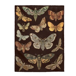 May include: A collection of 14 vintage illustrations of moths and butterflies on a dark brown background. The moths and butterflies are in various colors, including brown, green, yellow, and white.
