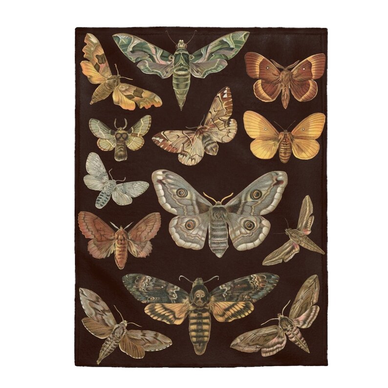 May include: A collection of 14 vintage illustrations of moths and butterflies on a dark brown background. The moths and butterflies are in various colors, including brown, green, yellow, and white.