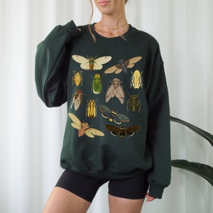 May include: A dark green sweatshirt with a print of various insects, including butterflies, beetles, and moths. The insects are depicted in a vintage style with intricate details.