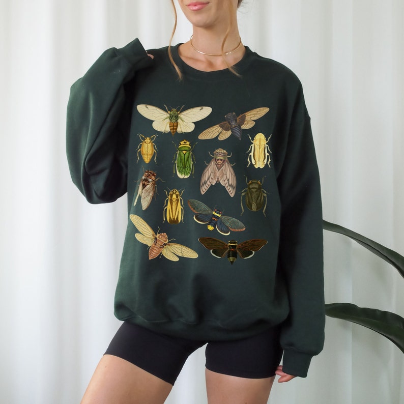 May include: A dark green sweatshirt with a print of various insects, including butterflies, beetles, and moths. The insects are depicted in a vintage style with intricate details.