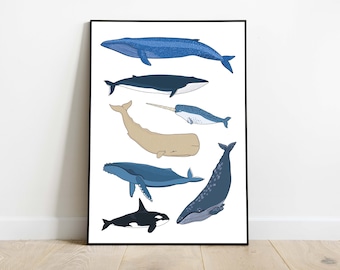 Arte de parede com espécies de baleias e vida marinha