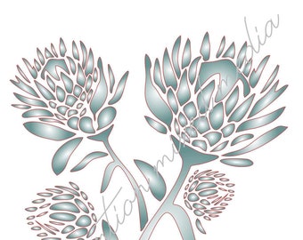 Plantilla digital Protea n.º 1 en formato Dxf, SVG, PDF, Cdr y JPEG. Archivo para cortar