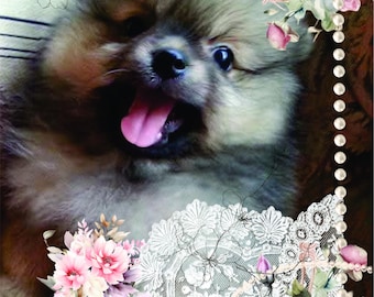 Estampados de Pomerania/ Encaje y rosas. Impresión digital en formato JPEG y PNG.