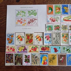 Op de afbeelding: Een verzameling postzegels met botanische illustraties van fruit, noten en granen uit diverse landen waaronder Monaco, Vietnam, Roemenië en Spanje. De postzegels tonen kleurrijke afbeeldingen van bessen, druiven en appels.