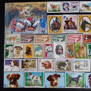 Può includere: Una collezione di francobolli raffiguranti varie razze canine, tra cui un grande foglietto che illustra una scena di caccia con cani, insieme a francobolli singoli che mostrano ritratti e illustrazioni di cani in diversi contesti.