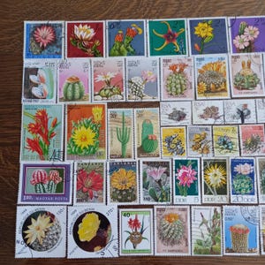 May include: A collection of postage stamps featuring various cactus species and desert flowers in vibrant colors. The stamps display diverse botanical illustrations, including saguaro, barrel cacti, and blooming succulents, with various international postal markings.
