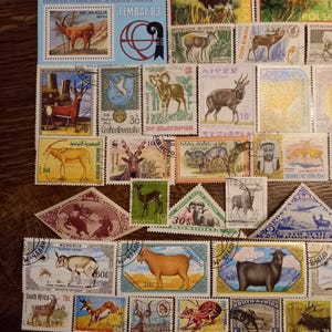 Deer and mountain sheep stamps lot no. 98