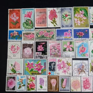 Pode incluir: Uma coleção de selos postais retangulares com várias ilustrações florais em tons de rosa, vermelho e branco. Cada selo exibe obras de arte botânicas únicas, nomes de países e valores numéricos, dispostos em uma grade sobre uma superfície escura.