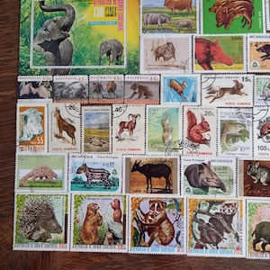 Animal stamps lot nr BQ