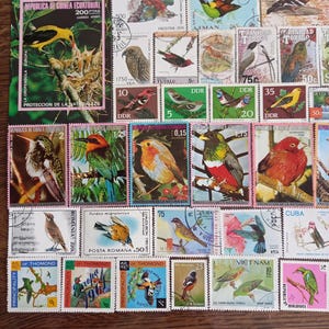 Singing birds lot nr BF