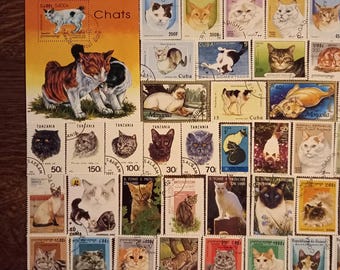 Lote de sellos de gatos n.º AF