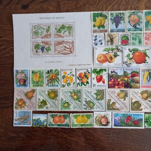 Könnte beinhalten: Eine Sammlung von Briefmarken mit verschiedenen Fruchtabbildungen, darunter ein Block aus Monaco mit dem Titel Principauté de Monaco Les Quatre Saisons sowie einzelne Briefmarken aus dem Libanon, Samoa, Gabun und anderen Ländern.