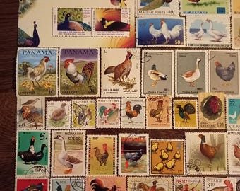 Lote de sellos de pollos, faisanes y gansos n.º AV