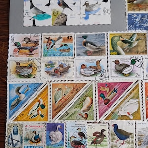 Waterbirds lot no. 83