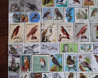 Uccelli rapaci, lotto n. 77