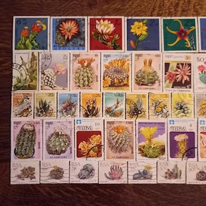 May include: A selection of vintage postage stamps depicting cacti and their blooms. The stamps, in various colours, are arranged on a wooden surface. The stamps showcase a variety of designs and denominations. The stamps feature illustrations of cacti and their flowers.