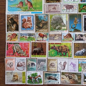 Op de afbeelding: Een verzameling vintage postzegels met verschillende dieren. Postzegels tonen kangoeroes, eekhoorns, wilde zwijnen en andere fauna. De postzegels zijn in verschillende kleuren en maten, met tekst in meerdere talen.