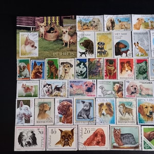 Könnte beinhalten: Eine Sammlung von Briefmarken mit verschiedenen Hunderassen aus aller Welt. Die Briefmarken zeigen farbenfrohe Illustrationen und Fotografien von Hunden, darunter Chihuahuas, Huskys und Terrier, mit Texten, die Länder wie Kuba, Polen und Vietnam angeben.