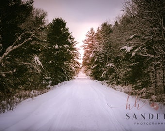 Winter Landscape Photography Print: Snowy Forest Road Wall Art