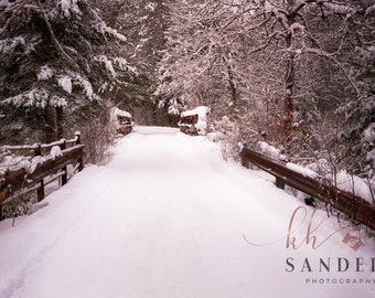 Winter Landscape Photography Print: Snowy Bridge Wall Art