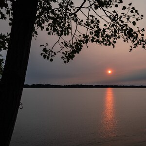 May include: A silhouette of a tree branch against a sunset sky over a still lake. The sun is setting in the distance, casting a warm glow on the water.